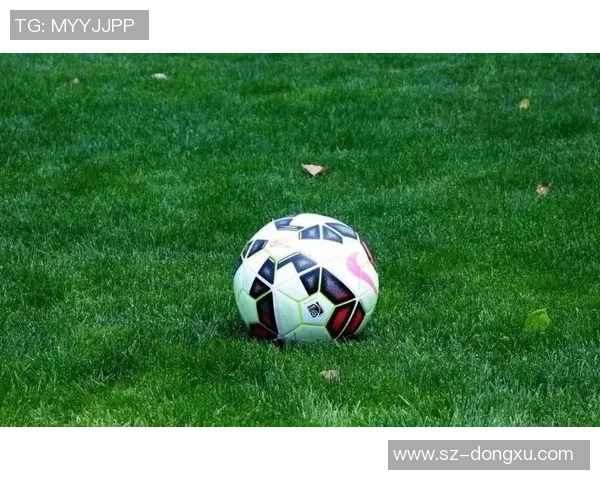 未来之星 小小足球天才闪耀绿茵场 他们的梦想从草地起航