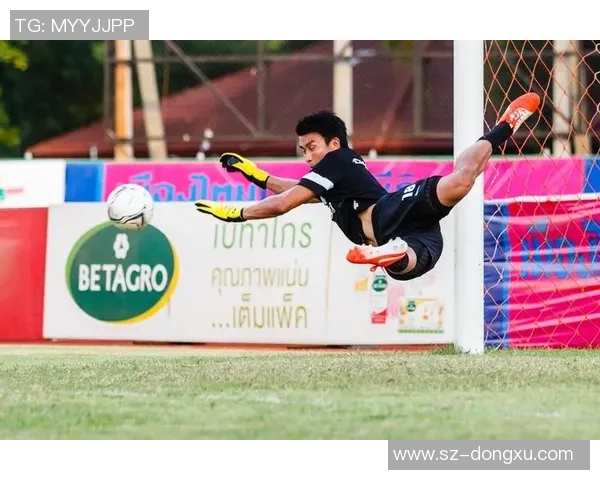 六年级学生选择合适足球球星号数的参考指南 六年级学生选择合适足球球星号数的参考指南