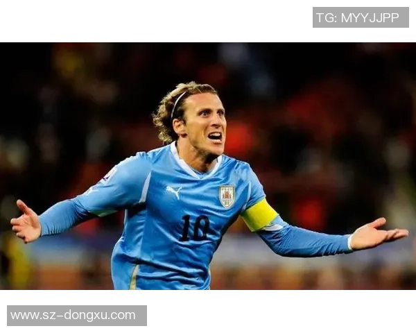 各大足球球星属相排名榜分析及其背后趣味性探讨