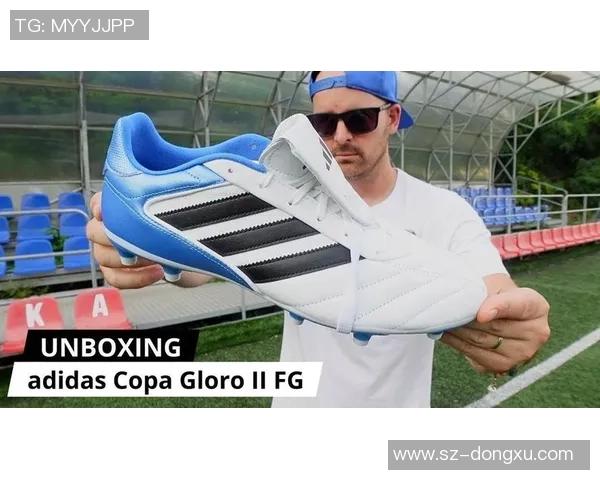 足球明星签名鞋价格揭秘豪华款与普通款的差异分析 足球明星签名鞋价格揭秘豪华款与普通款的差异分析