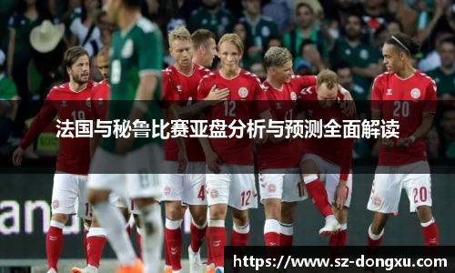 法国与秘鲁比赛亚盘分析与预测全面解读